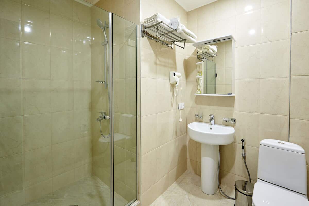 Shower, free toiletries, hair dryer, bidet