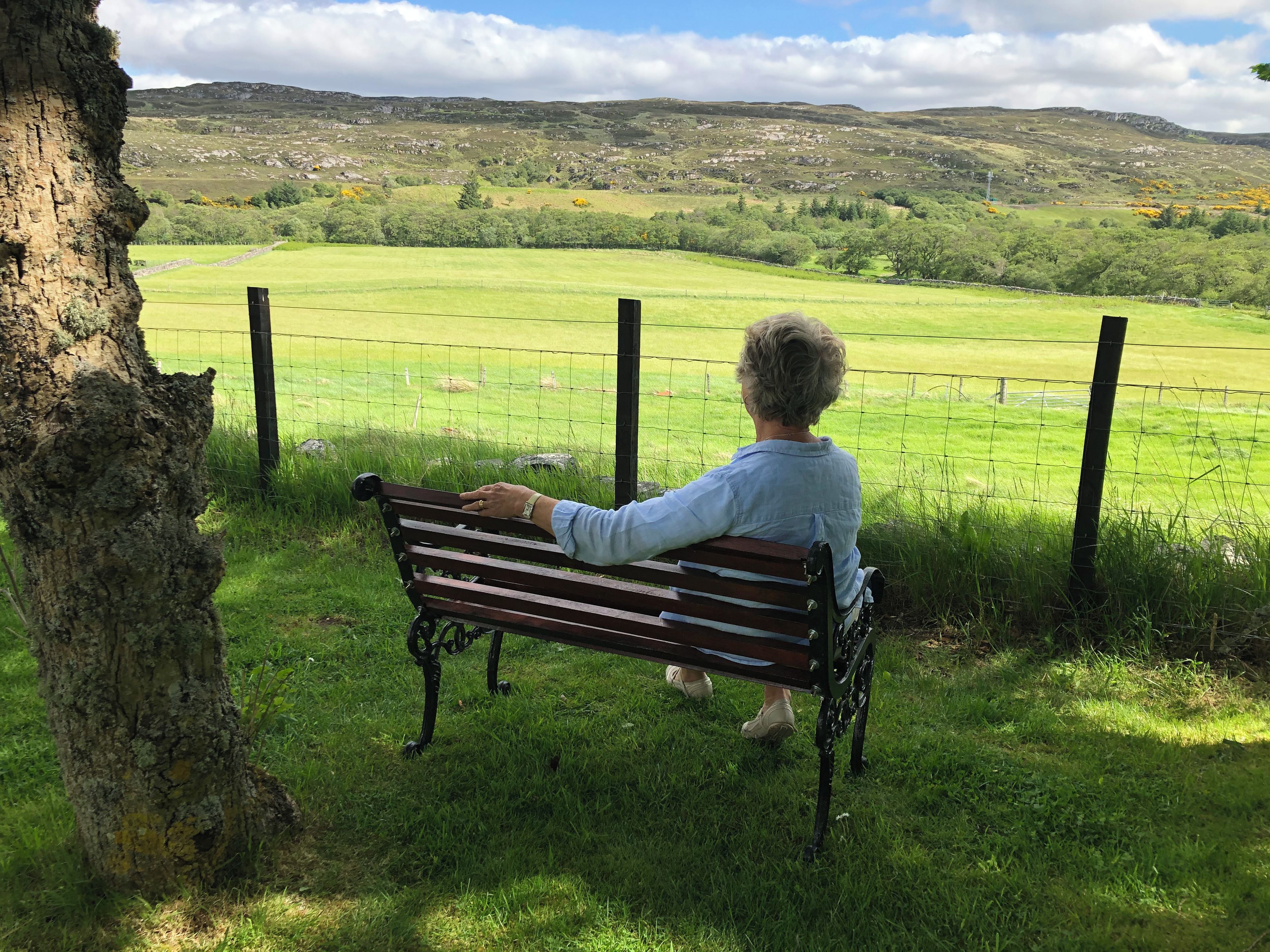 A person sitting on a bench overlooking a grassy field with a fence and trees in the foreground.