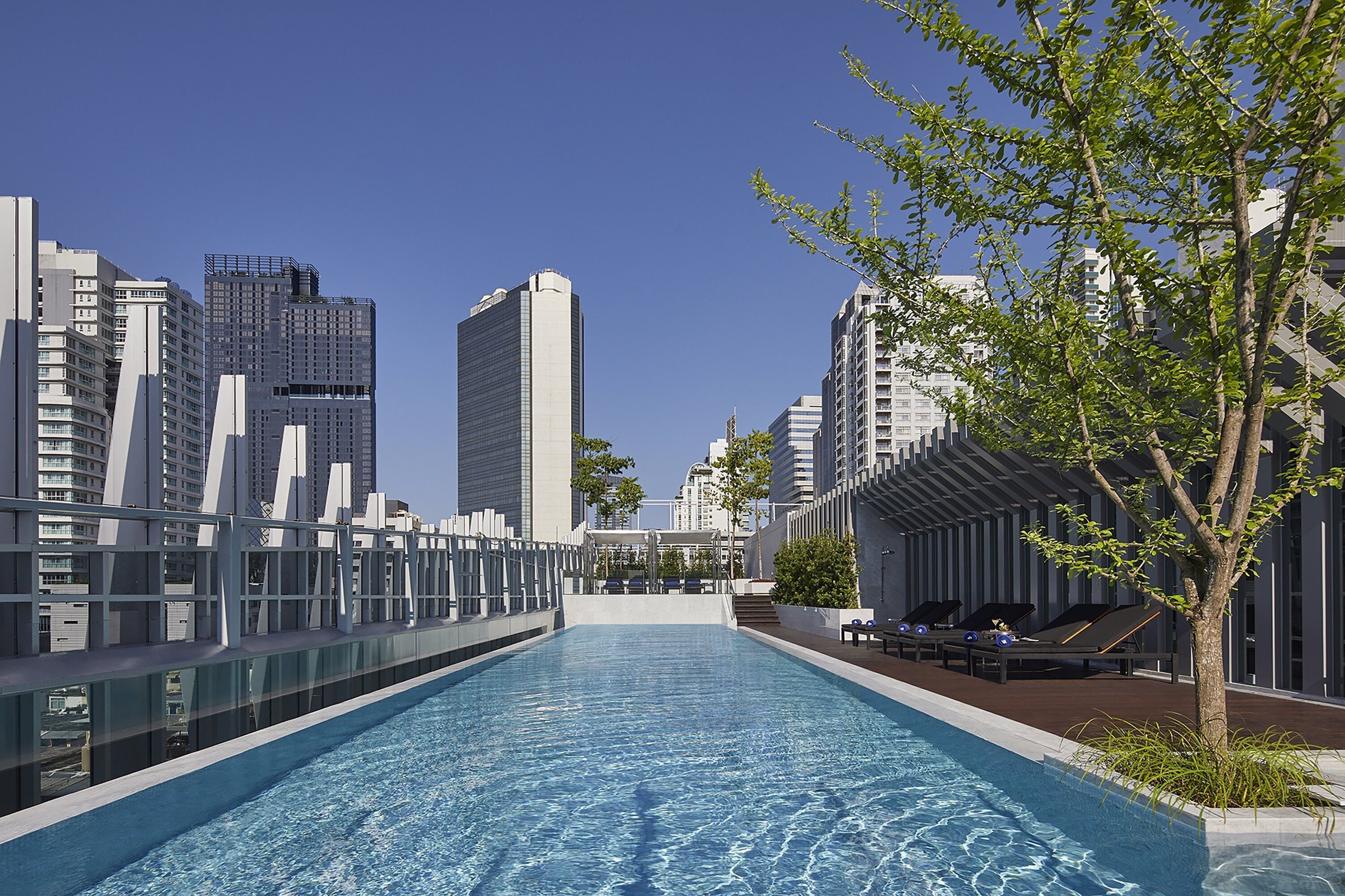 outdoor pool, pool loungers