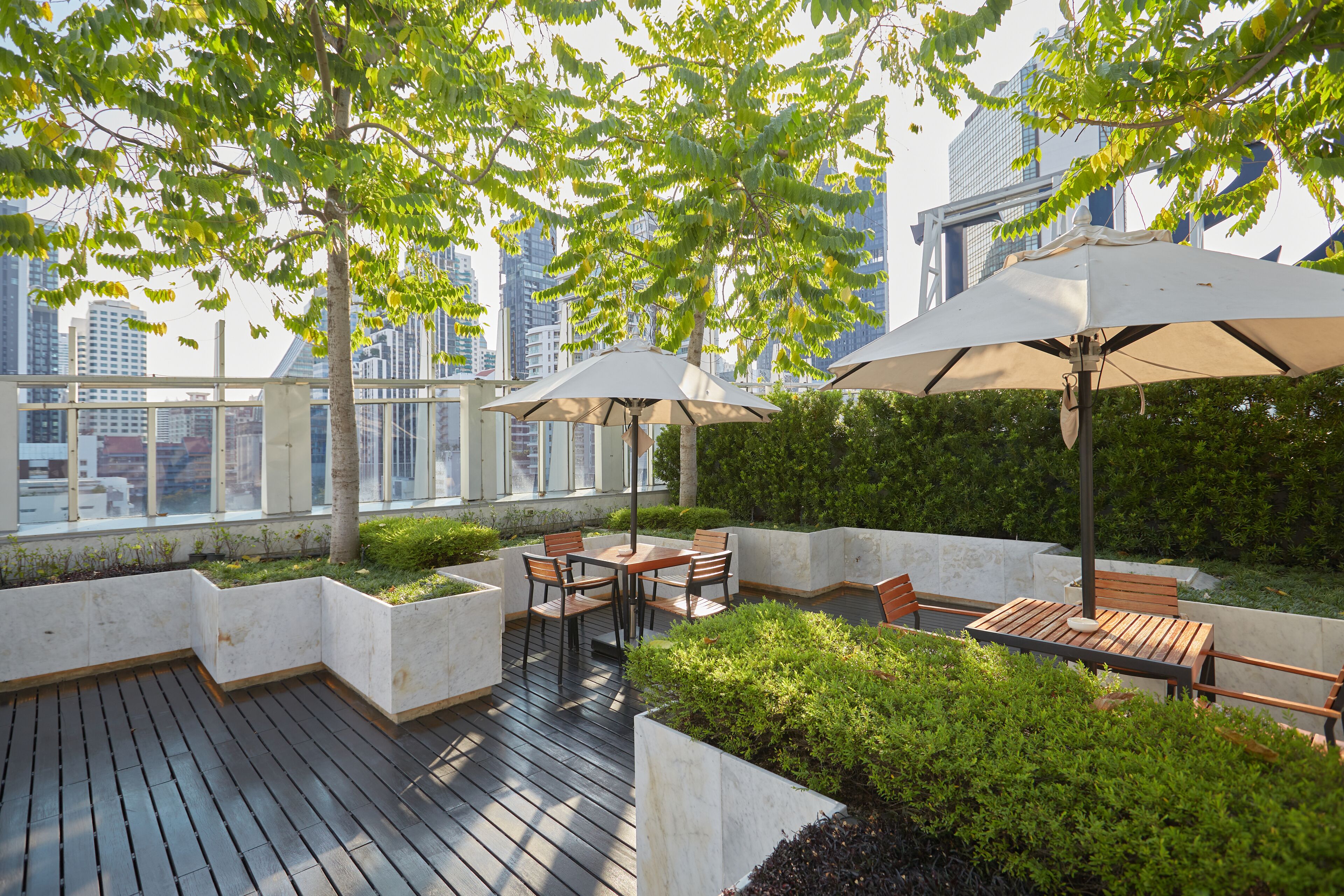 outdoor pool, pool loungers