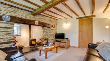 TV, fireplace, DVD player