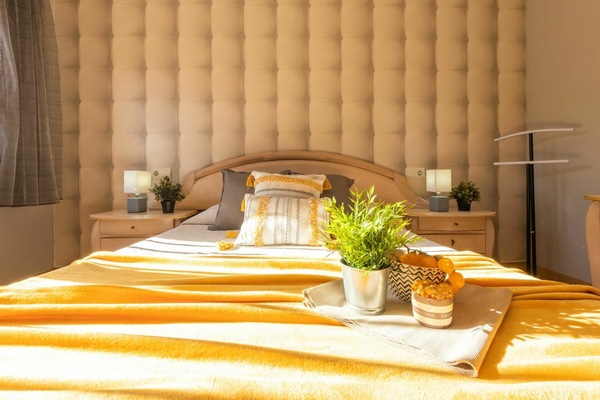 Pflanze, Eigentum, Möbel, Gebäude, Blumentopf, Dekoration, Zimmerpflanze, Komfort, Textil, Orange