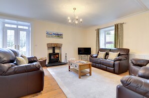 TV, fireplace, DVD player, books