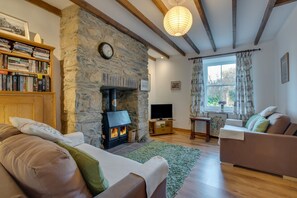 TV, fireplace, books