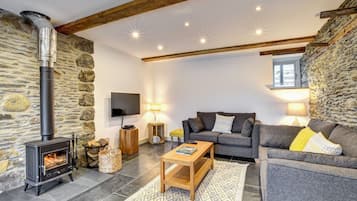 TV, fireplace, DVD player, books