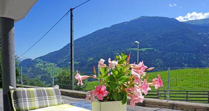 Bel appartement pour 4 personnes avec WIFI, TV, patio et animaux admis