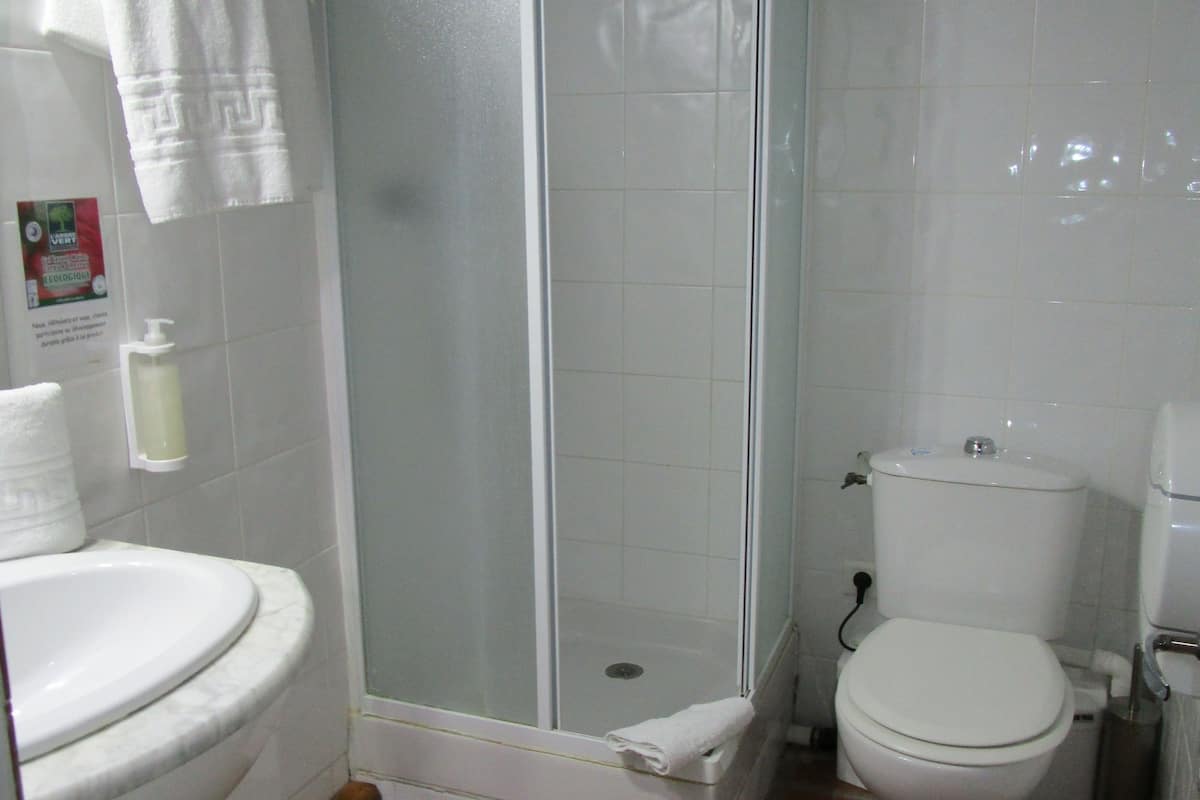 shower, free toiletries, hair dryer, towels