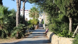 A narrow street lined with trees and a stone wall on one side. - B&B Le Macine 1868 (Paceco)