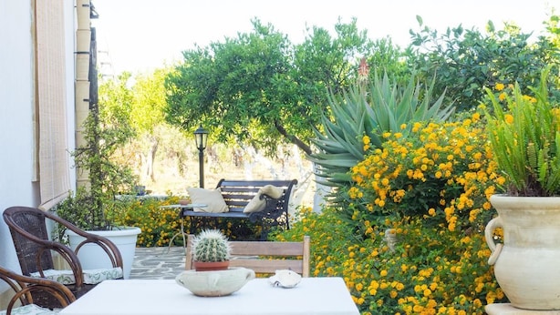 An outdoor patio with a table, chairs, and a bench. There are potted plants and yellow flowers in the background. - B&B Le Macine 1868 (Paceco)