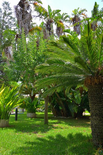 Mondello Resort