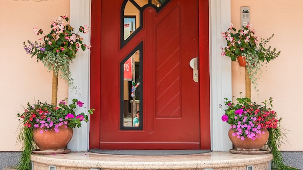 A red door with a glass panel, a number "24" above it, and two potted plants on either side. - Villa Nena (Kranjska Gora)
