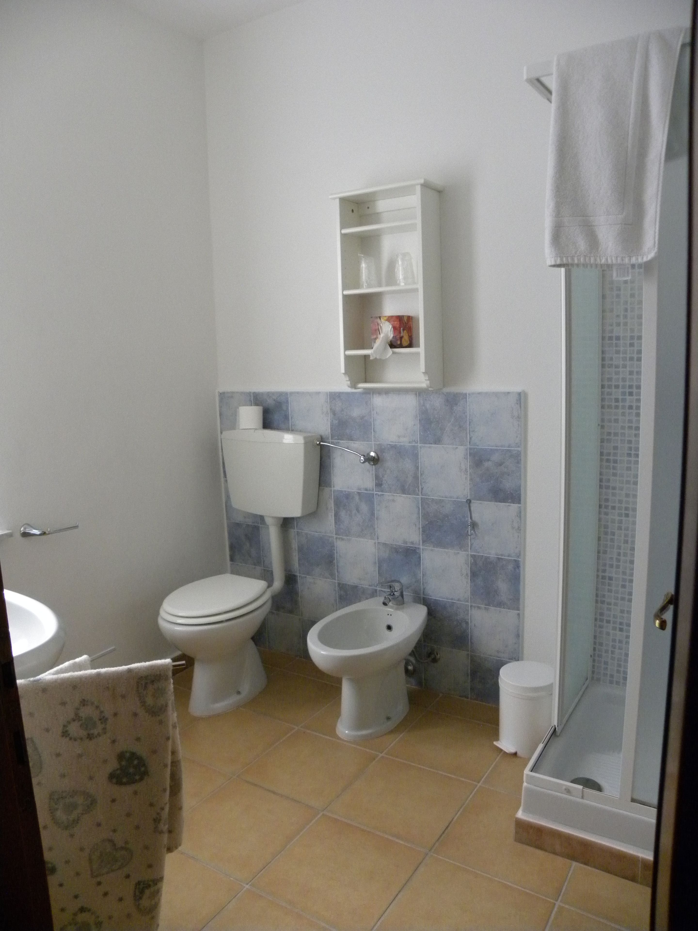 Ein Badezimmer mit Toilette, Bidet und Duschbereich.