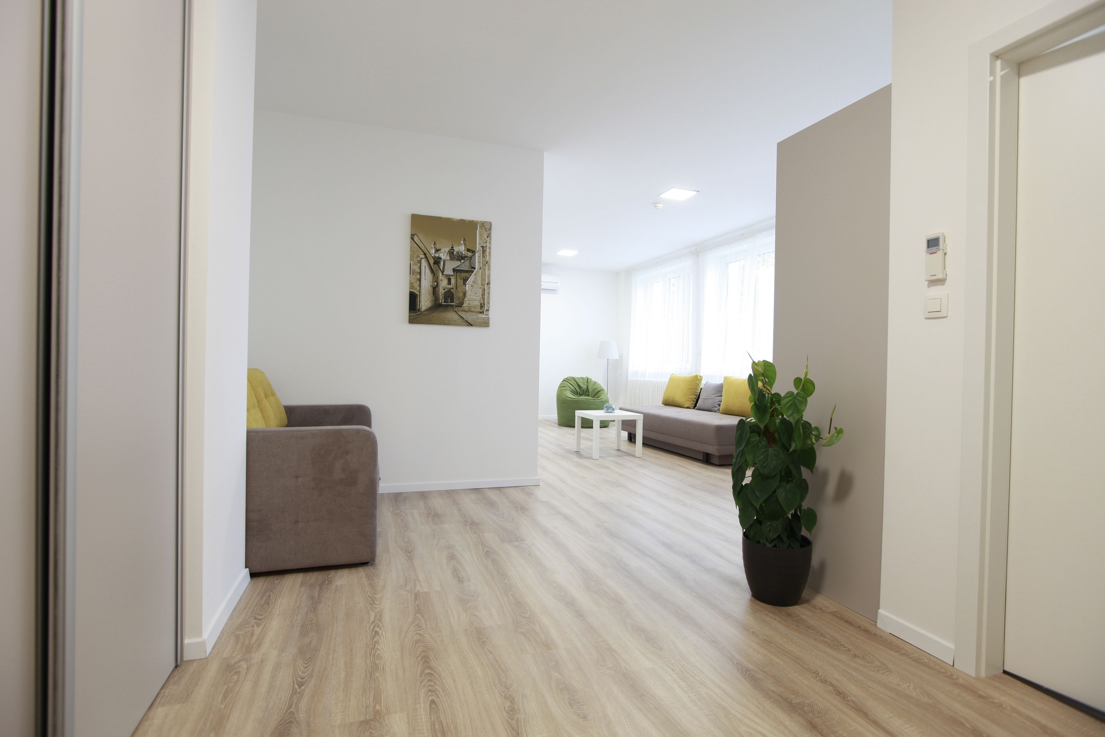 Un salon moderne avec un canapé, une table basse et une plante en pot.