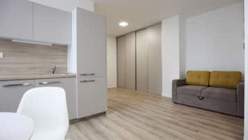 Leilighet – standard | Skrivebord, skrivebord for bærbar PC, blendingsgardiner og lydisolert