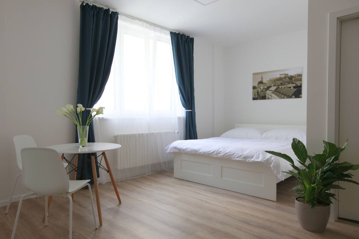 Apartment, 1 Schlafzimmer | Ausblick vom Zimmer