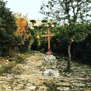 Property grounds - B&B Parini (Cassino)