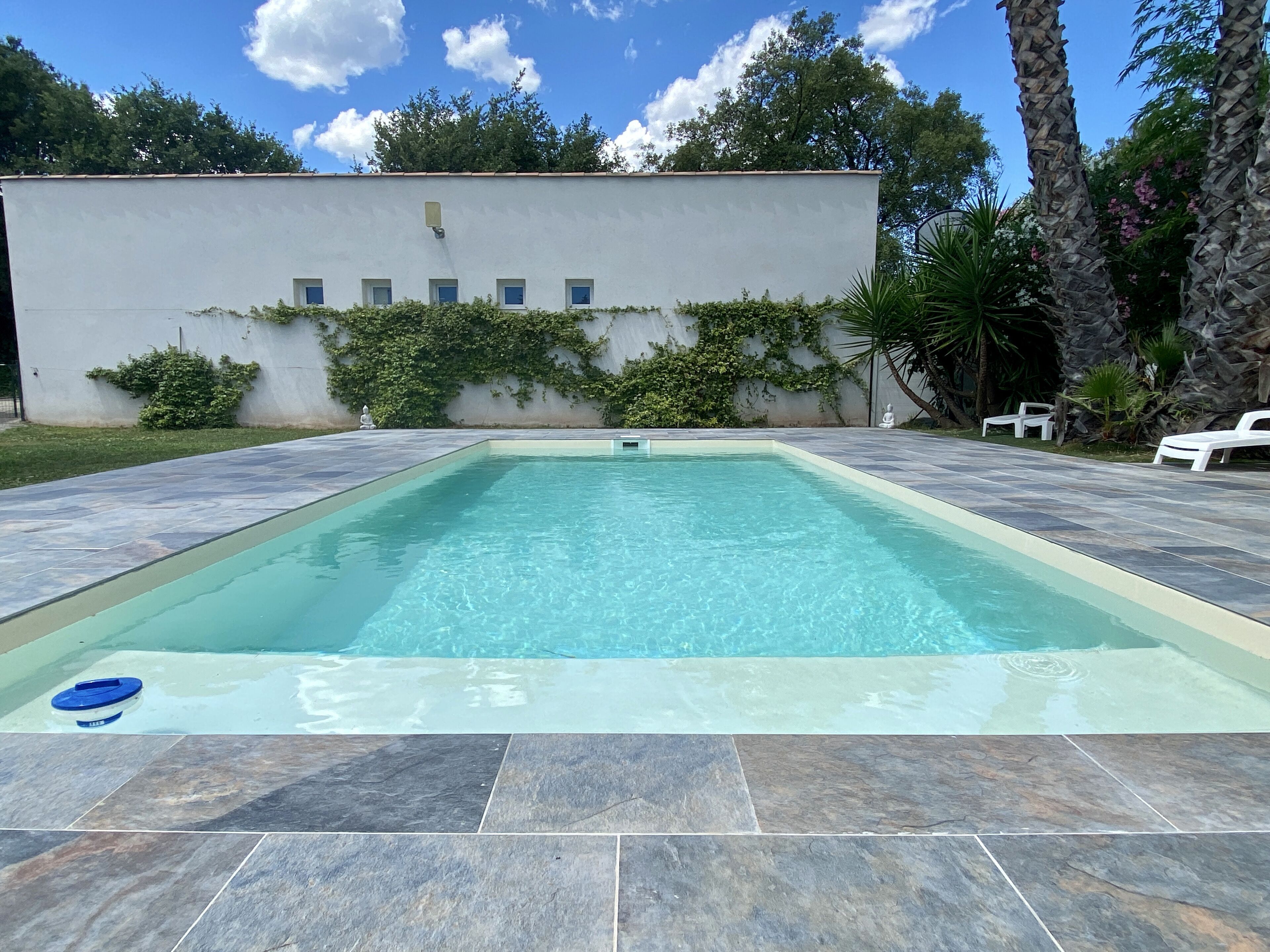 Ein rechteckiger Pool mit Fliesen umgeben, mit einer bepflanzten Grünanlage und einer weißen Mauer mit kleinen Fenstern.