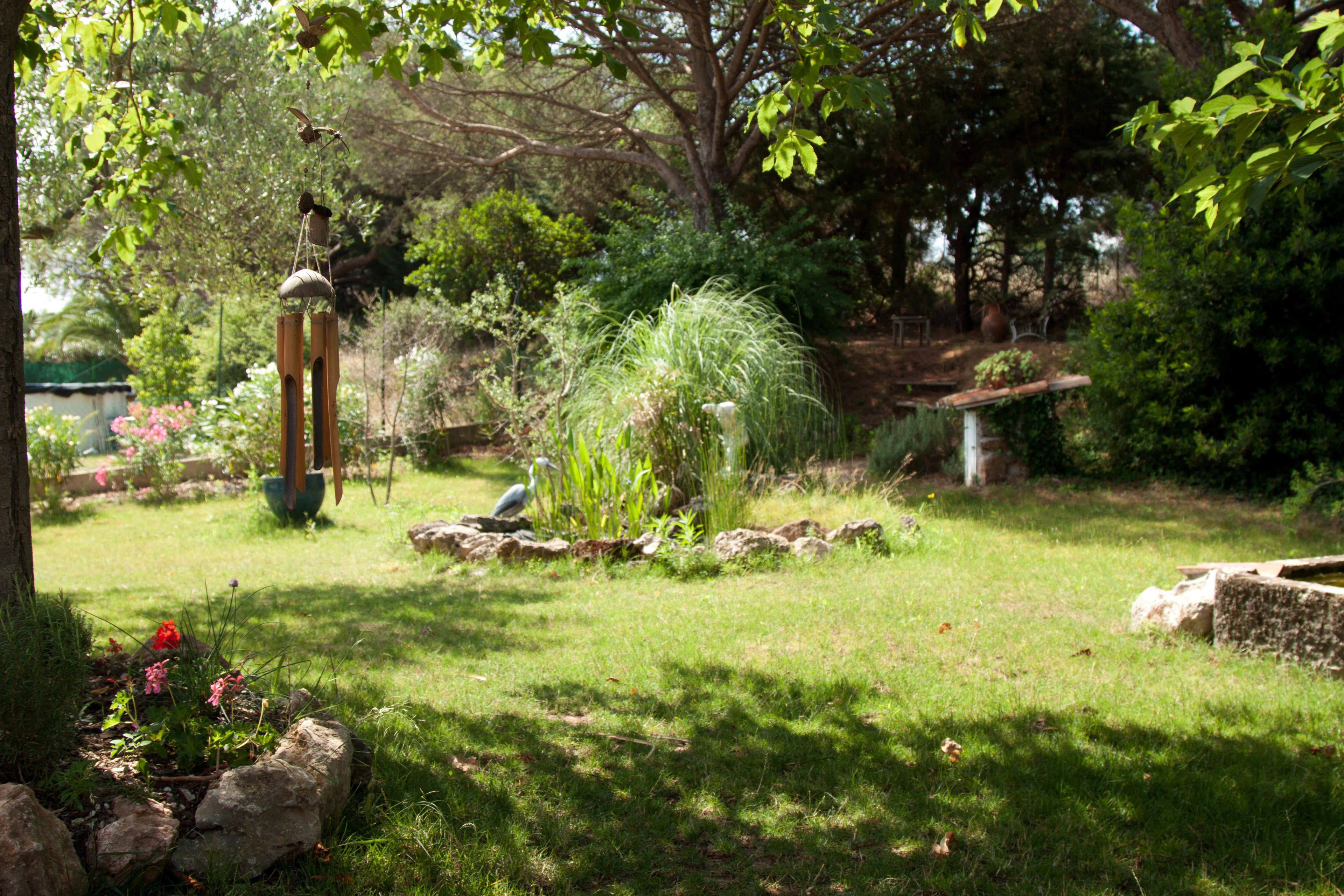 A garden with a bird feeder, a birdbath, and various plants.