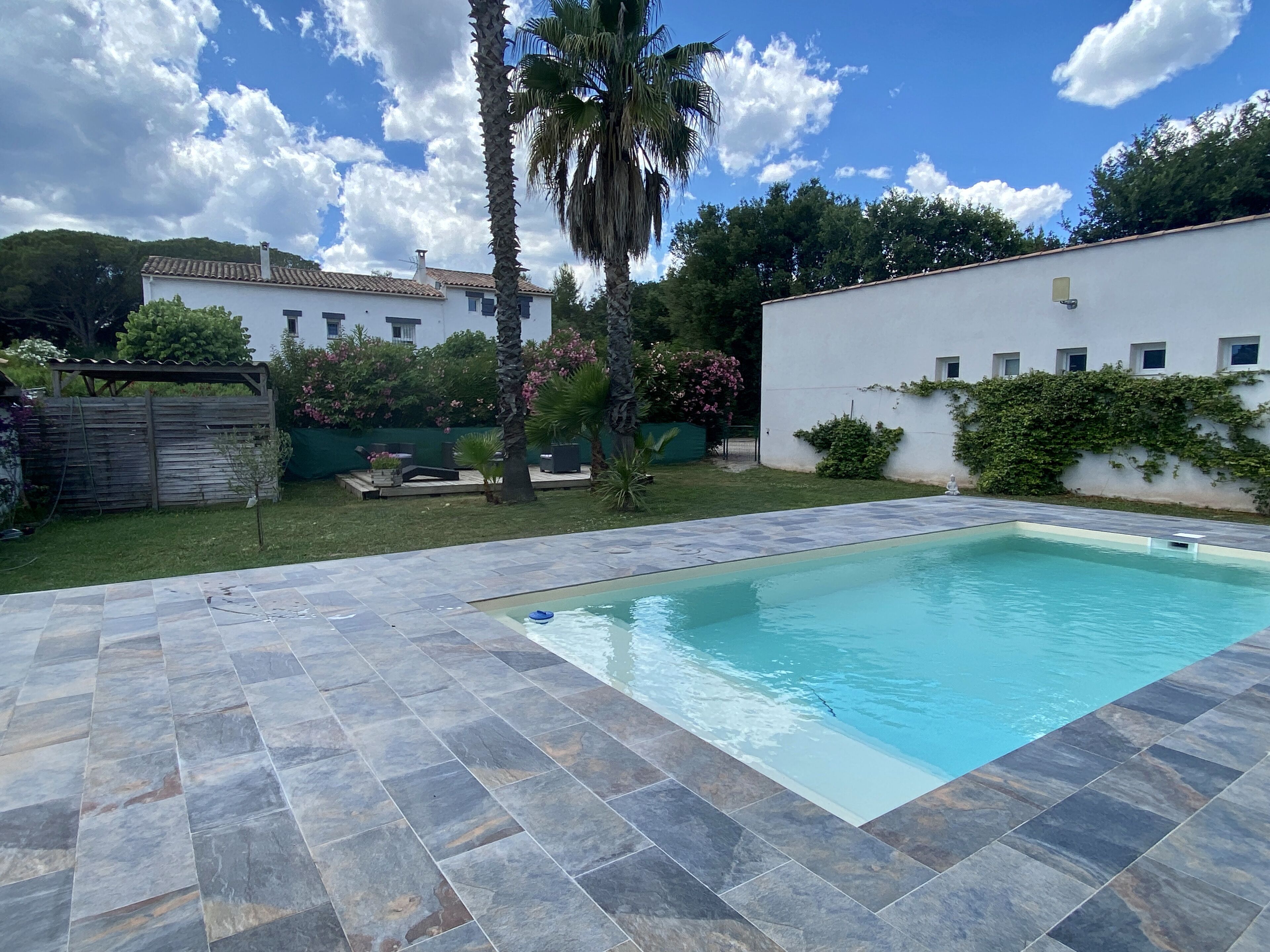 Seasonal outdoor pool, open 10:00 AM to 8:00 PM, pool loungers