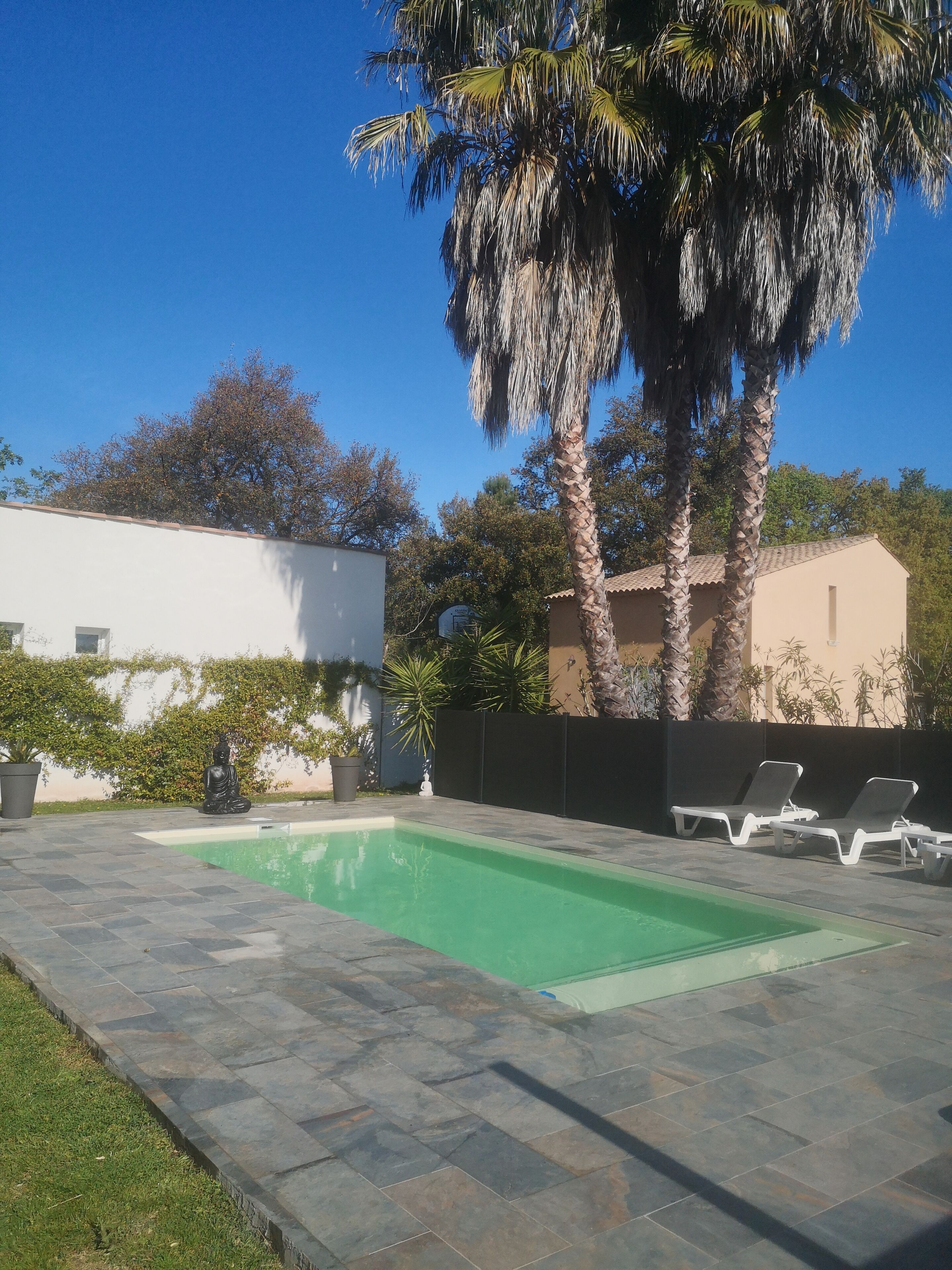 Seasonal outdoor pool, open 10:00 AM to 8:00 PM, pool loungers