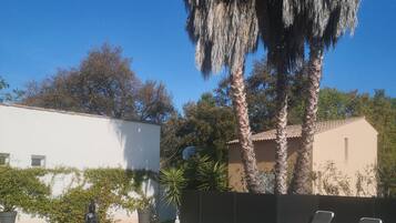 Seasonal outdoor pool, open 10:00 AM to 8:00 PM, pool loungers