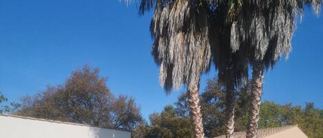 Piscine extérieure (ouverte en saison), chaises longues