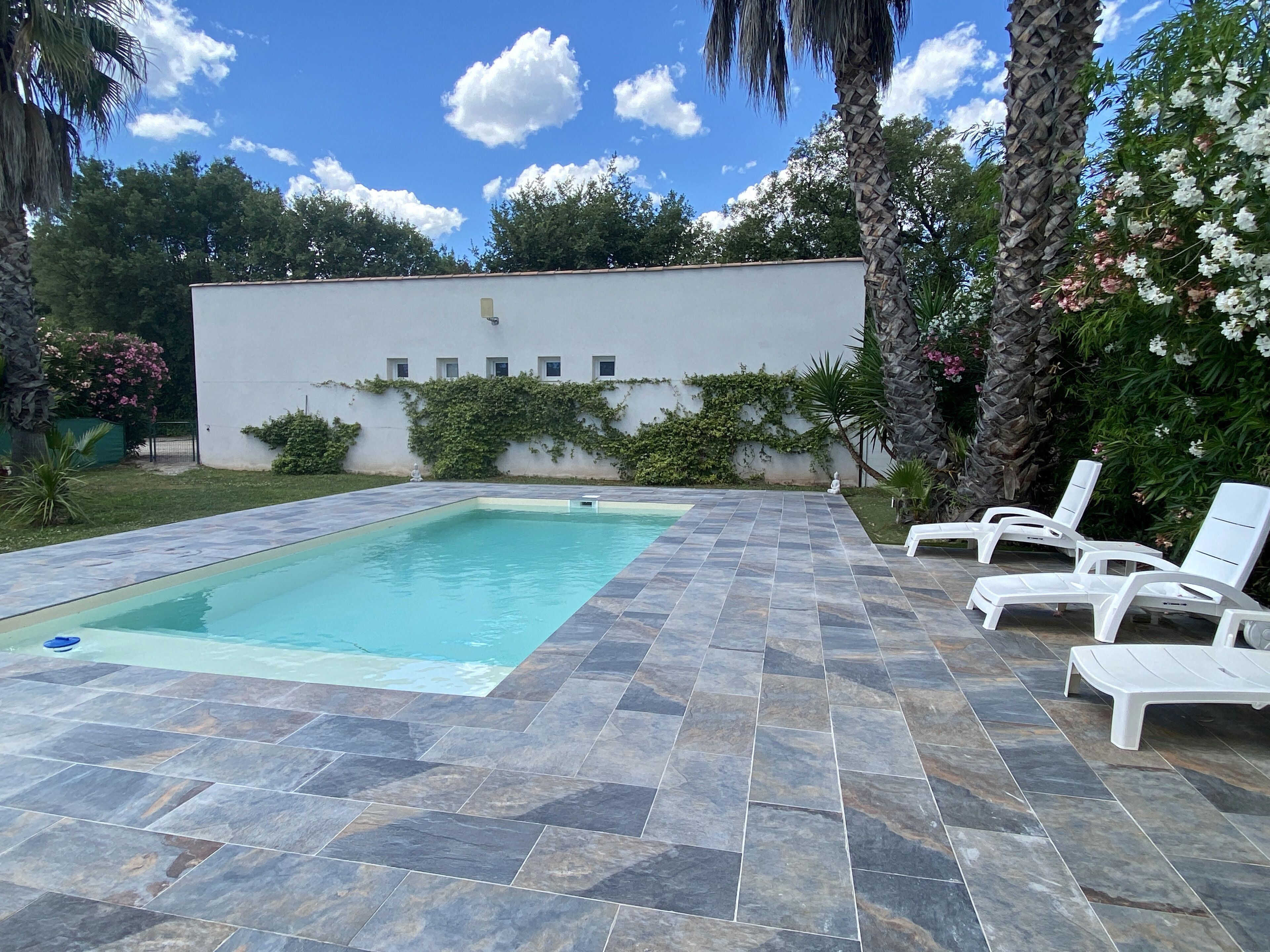 Une piscine rectangulaire bordée de carreaux de pierre, entourée d’une végétation luxuriante et d’un bâtiment blanc doté de fenêtres.