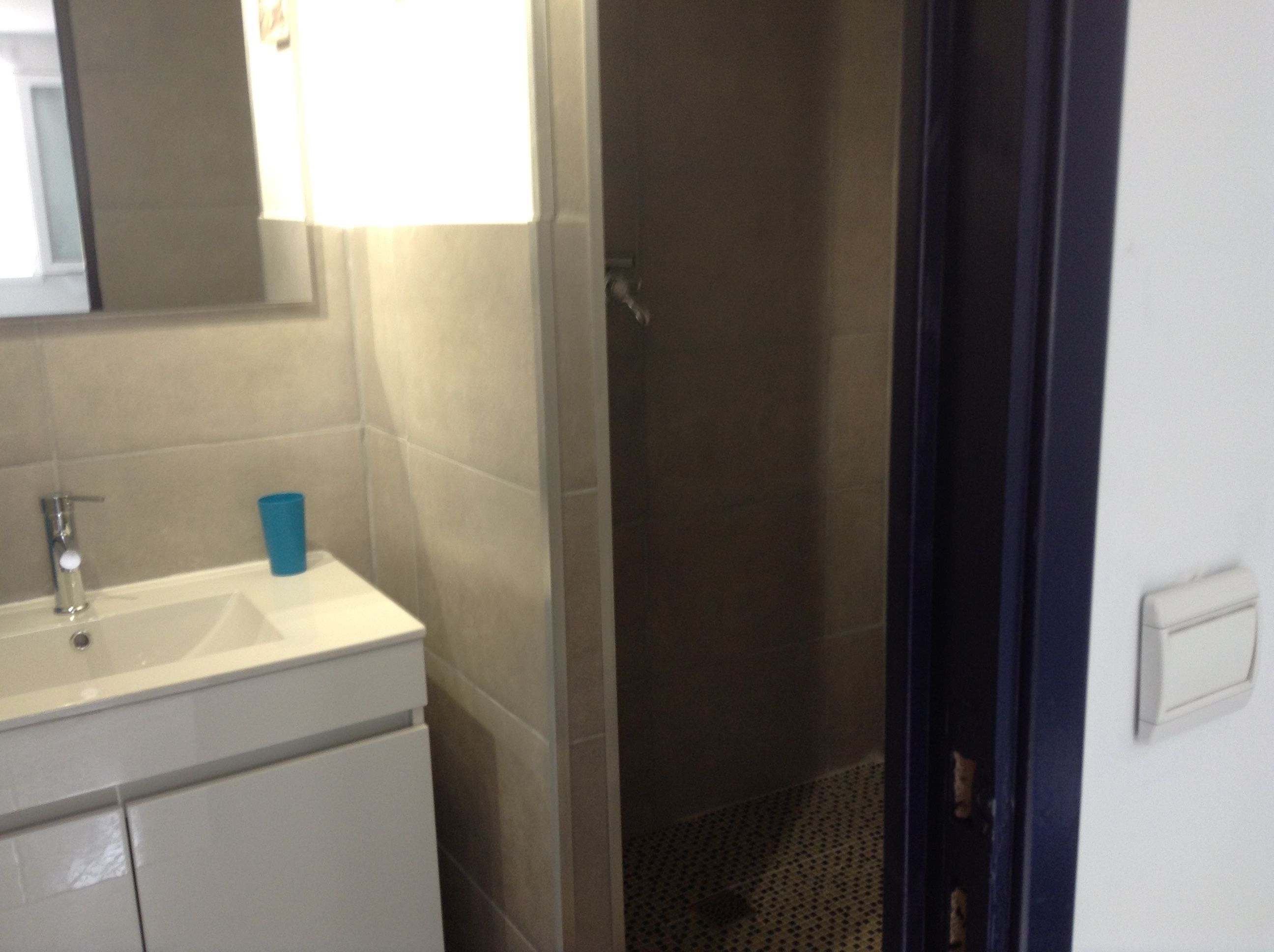 Une salle de bain avec un lavabo, un miroir et une douche.