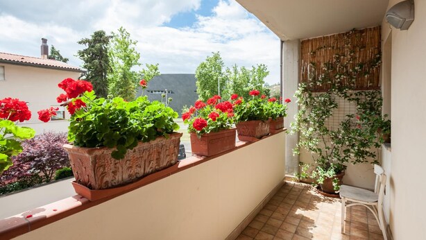 Un balcon avec des plantes en pot et une chaise.