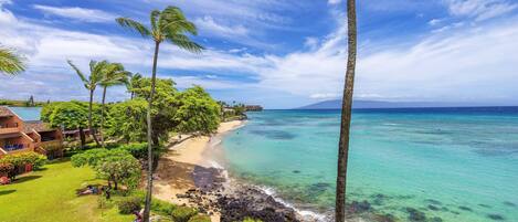 Condo, 1 Bedroom | Beach | Beach nearby