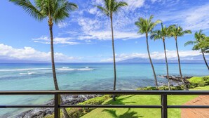 Une vue depuis un balcon donnant sur une plage bordée de palmiers et sur l’océan.