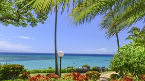 Un jardin tropical offrant une vue sur l’océan, avec un sentier et des espaces de détente en plein air.