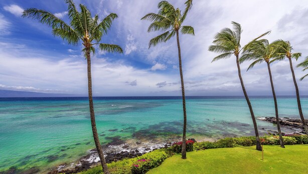 Une plage tropicale bordée de palmiers et baignée d’une eau turquoise et cristalline.