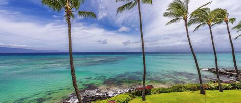Appart'hôtel, 1 chambre | Plage | Plage à proximité