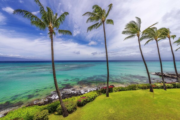 Lägenhet - 1 sovrum | Strand | Nära stranden