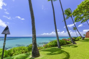 Condo, 1 Bedroom | Property grounds