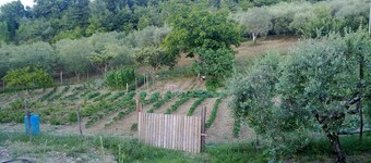 Agriturismo le Cammarose