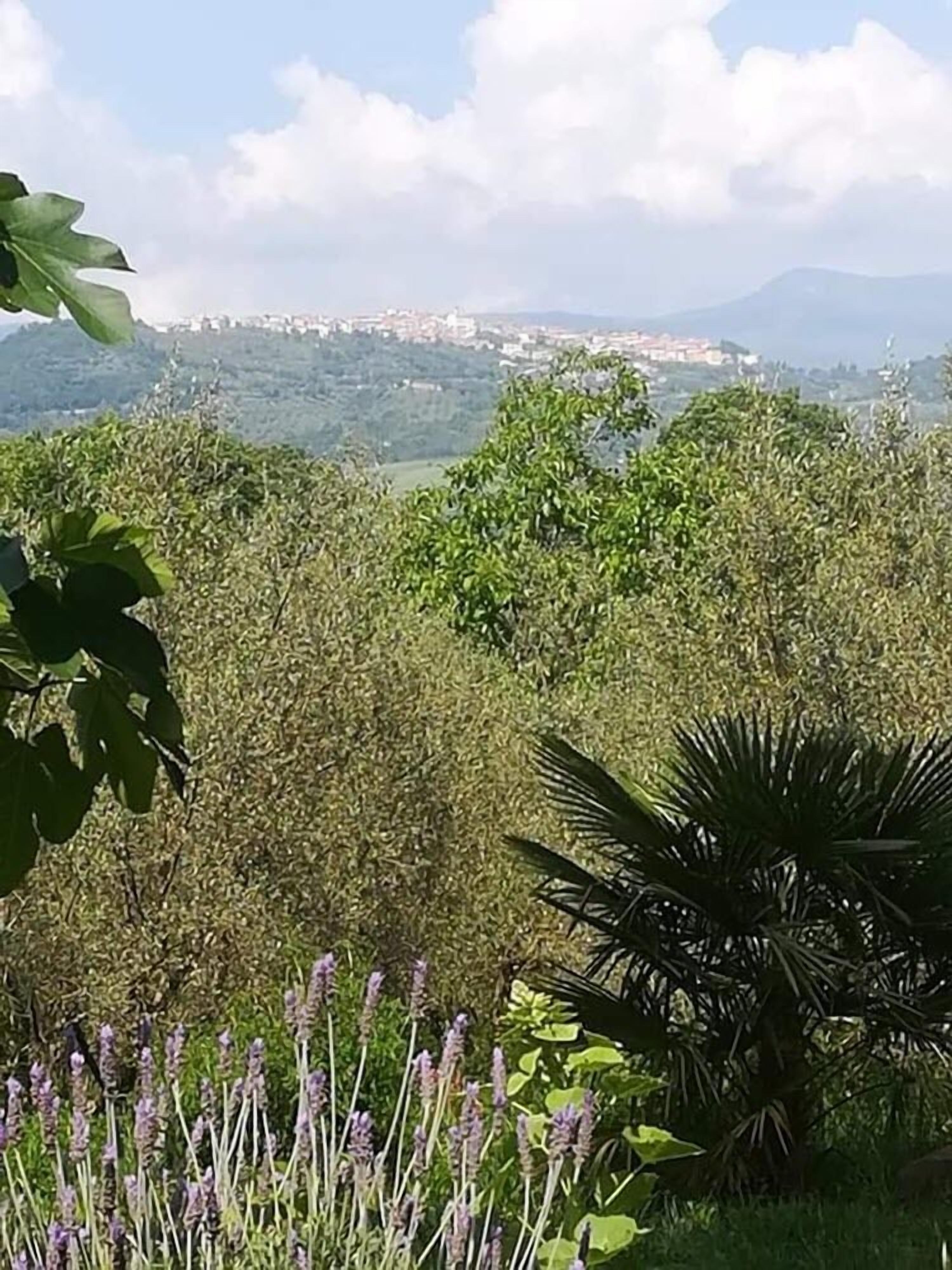 Vista desde la propiedad