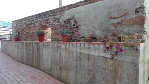 A concrete wall with potted plants and flowers. - Hotel La Alcoholera (Villaviciosa de Córdoba)
