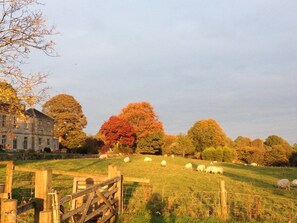 Property grounds - The Old Vicarage at Oakridge (Stroud)