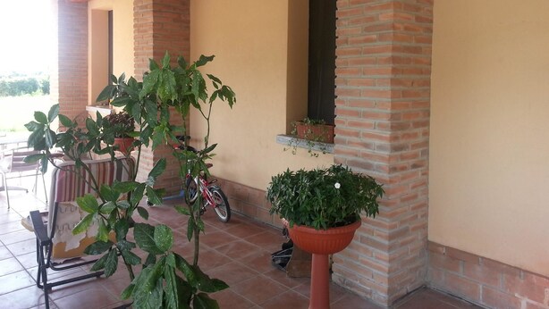 Un espacio cubierto con patio de ladrillo, piso de baldosas y plantas en macetas.