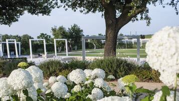 Un jardín con arbustos de hortensia blanca y un árbol grande.