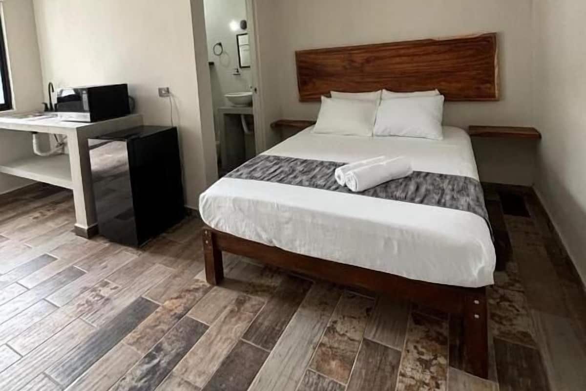 Minibar, tabla de planchar con plancha, wifi gratis y ropa de cama 