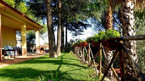 A garden with a covered seating area, palm trees, and various plants. - B&B il giardino di Agata (Mascalucia)