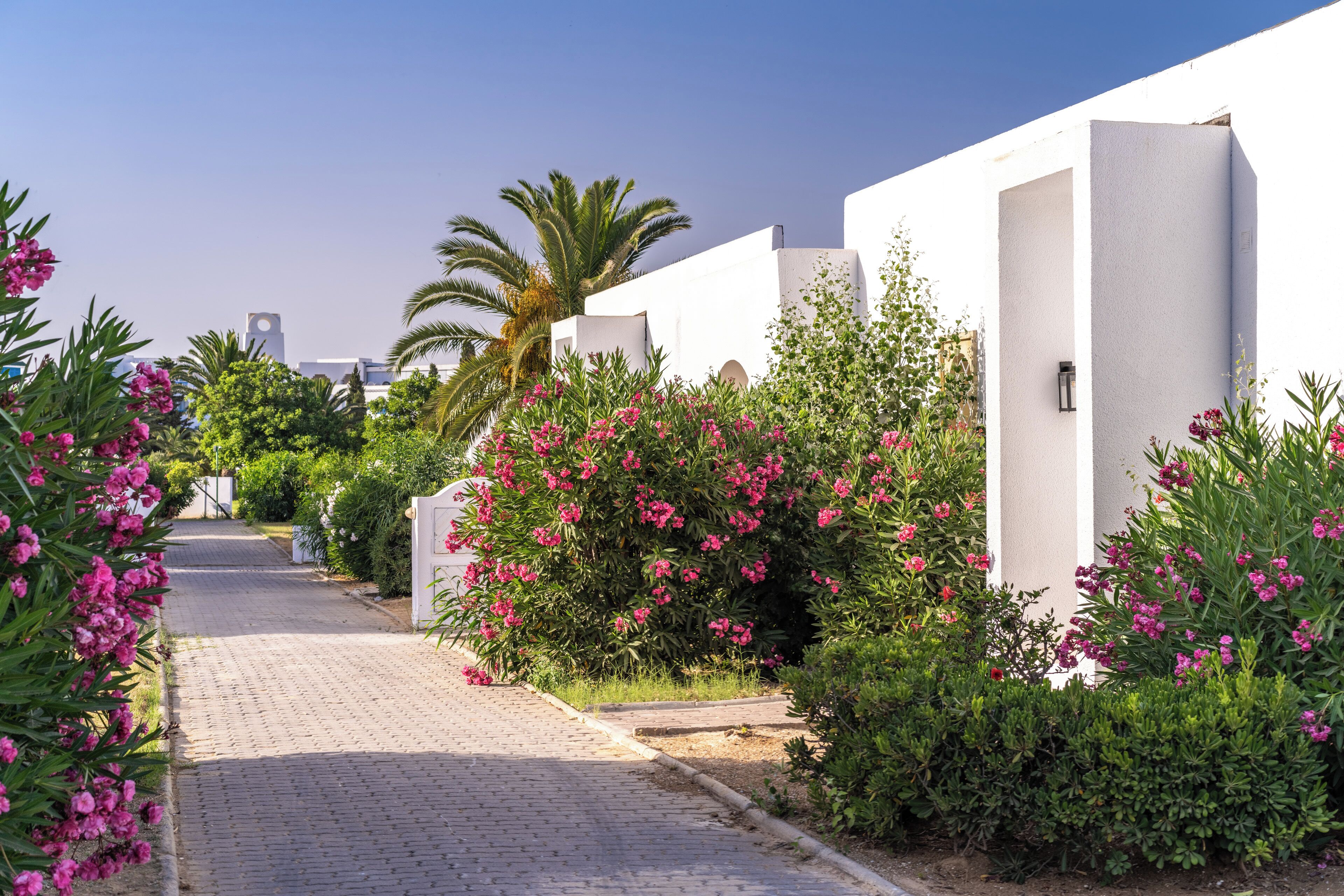 Photo - The Mirage Resort & SPA