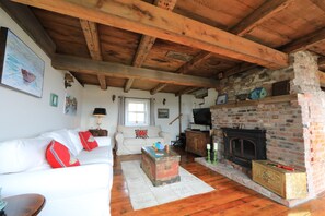 TV connectée, cheminée, livres