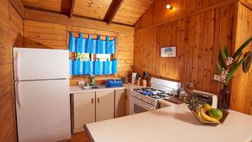 Full-sized fridge, oven, stovetop, coffee/tea maker