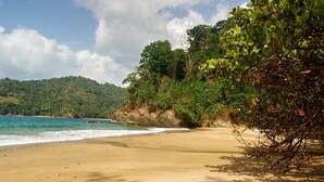Private beach - ERASMUS COVE COTTAGES (Parlatuvier)