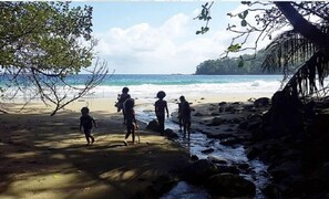 Beach - ERASMUS COVE COTTAGES (Parlatuvier)