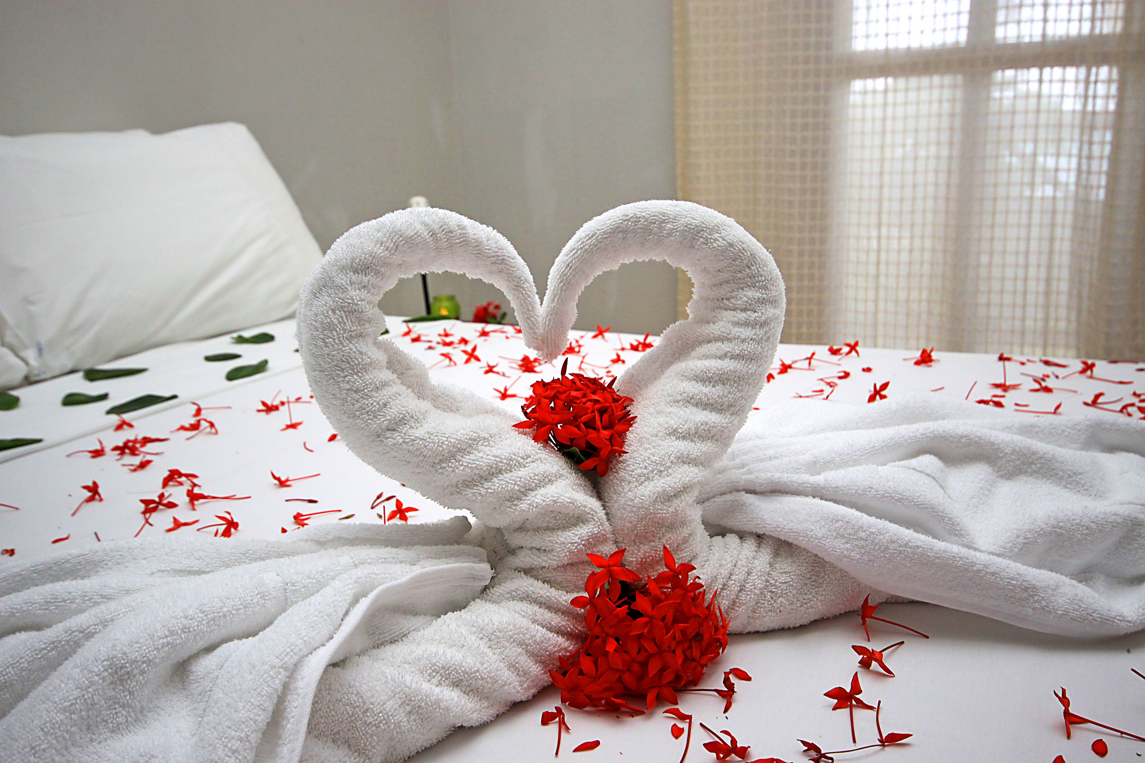 standard room | minibar, desk, iron/ironing board, free wifi